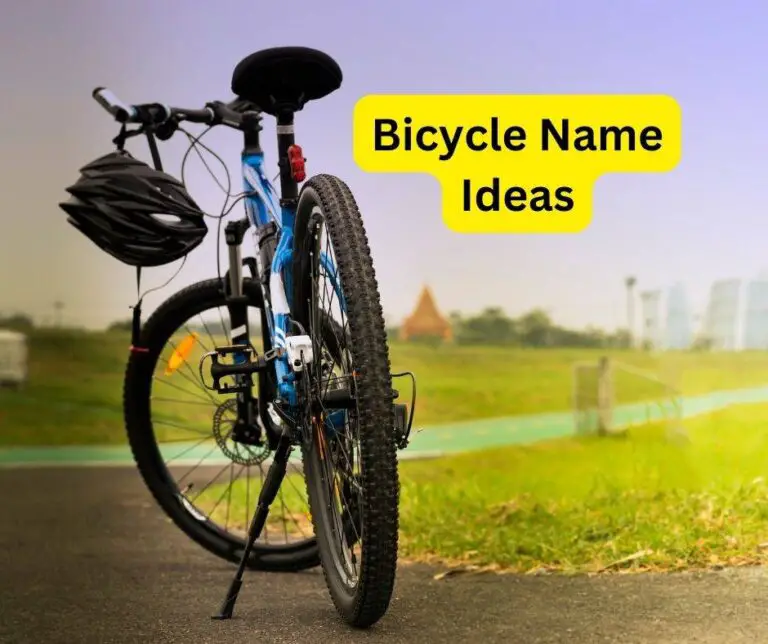 bicycle-name-ideas-100-creative-unique-suggestions