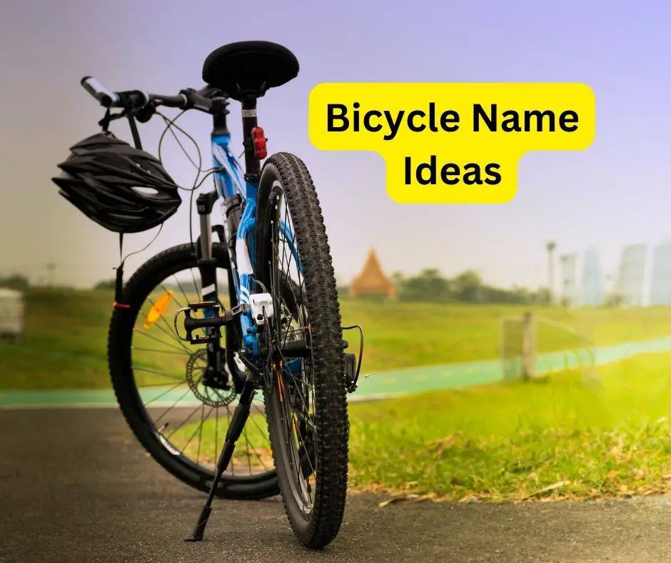 Bicycle Name Ideas