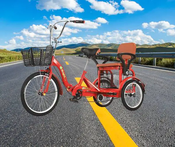 SYTH Folding Tricycle