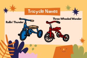 Tricycle Names ideas