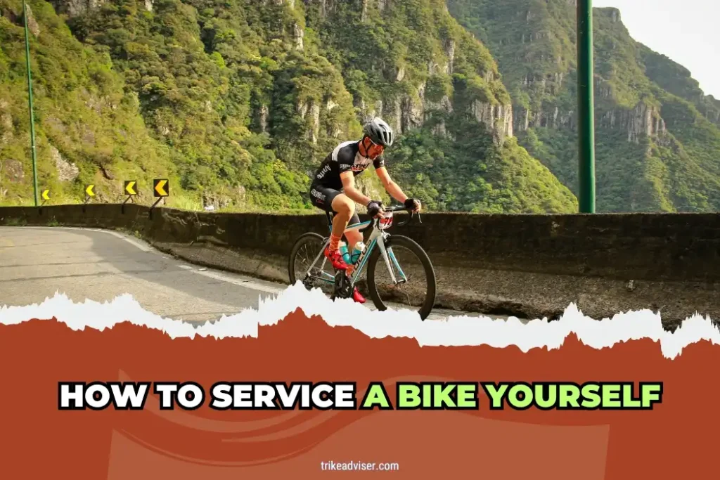 How to Service a Bike Yourself