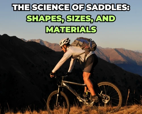 The Science of Saddles: Shapes, Sizes, and Materials