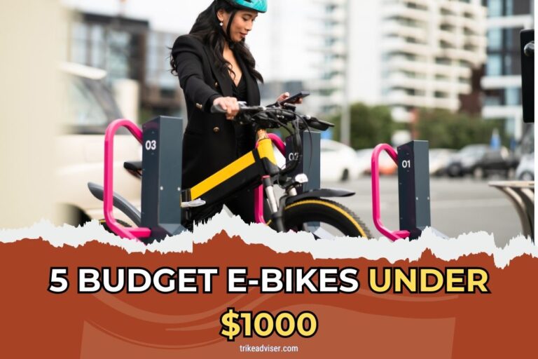 Affordable Ride Image 5 Budget E-bikes under $1000 - Affordable Ride