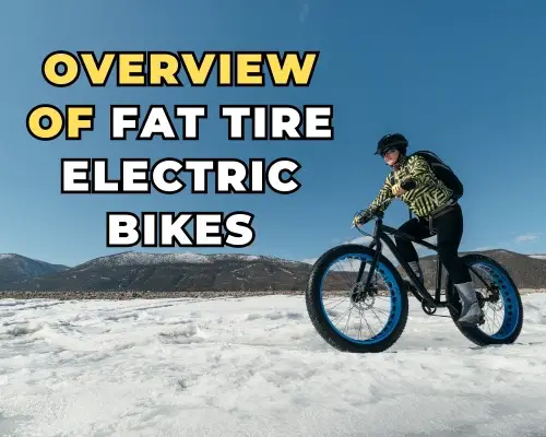 Overview of Fat Tire Electric Bikes