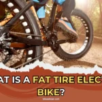 What is a Fat Tire Electric Bike? (Advantages and Disadvantages)