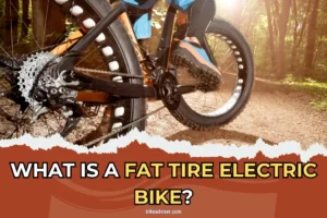 What is a Fat Tire Electric Bike? (Advantages and Disadvantages)