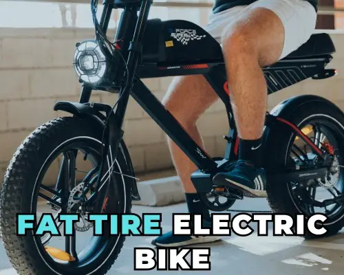 What is a Fat Tire Electric Bike? (Advantages and Disadvantages)