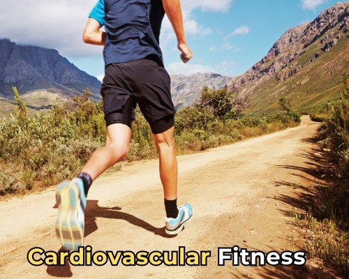 Cardiovascular Fitness - Boosting Stamina and Endurance
